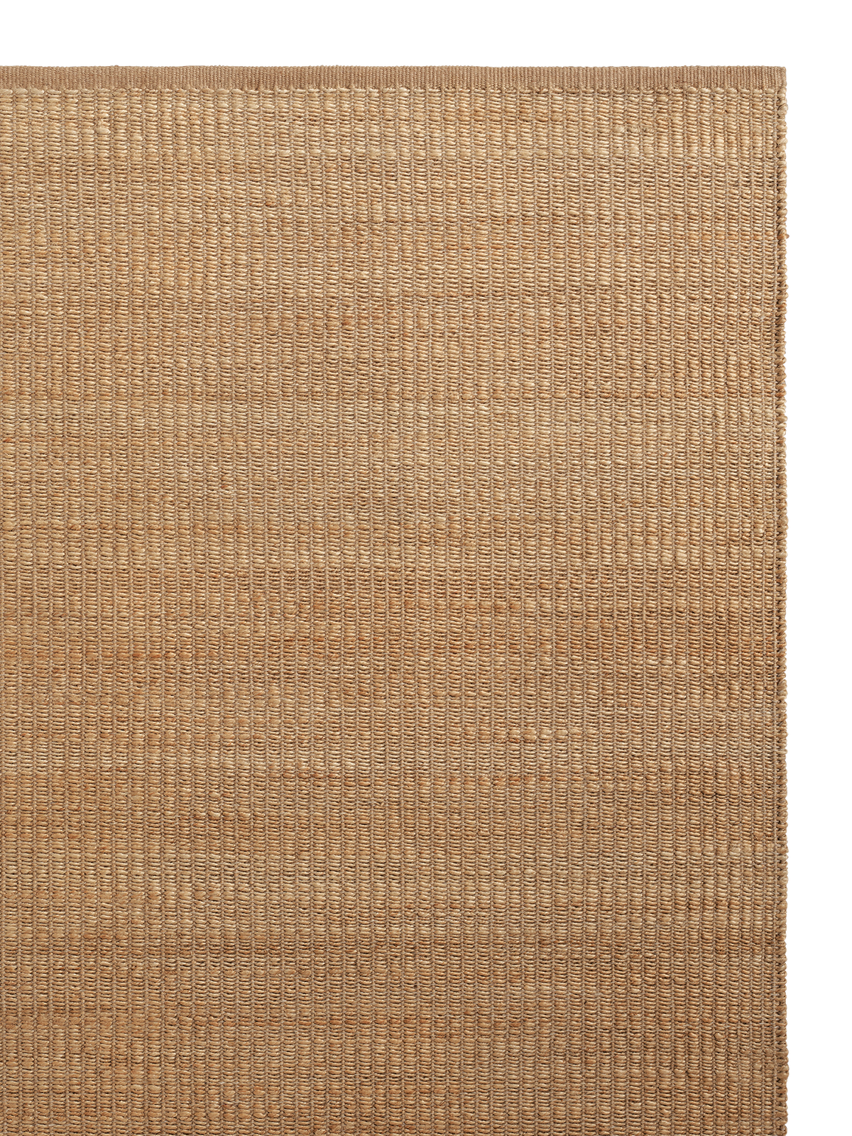 Reed