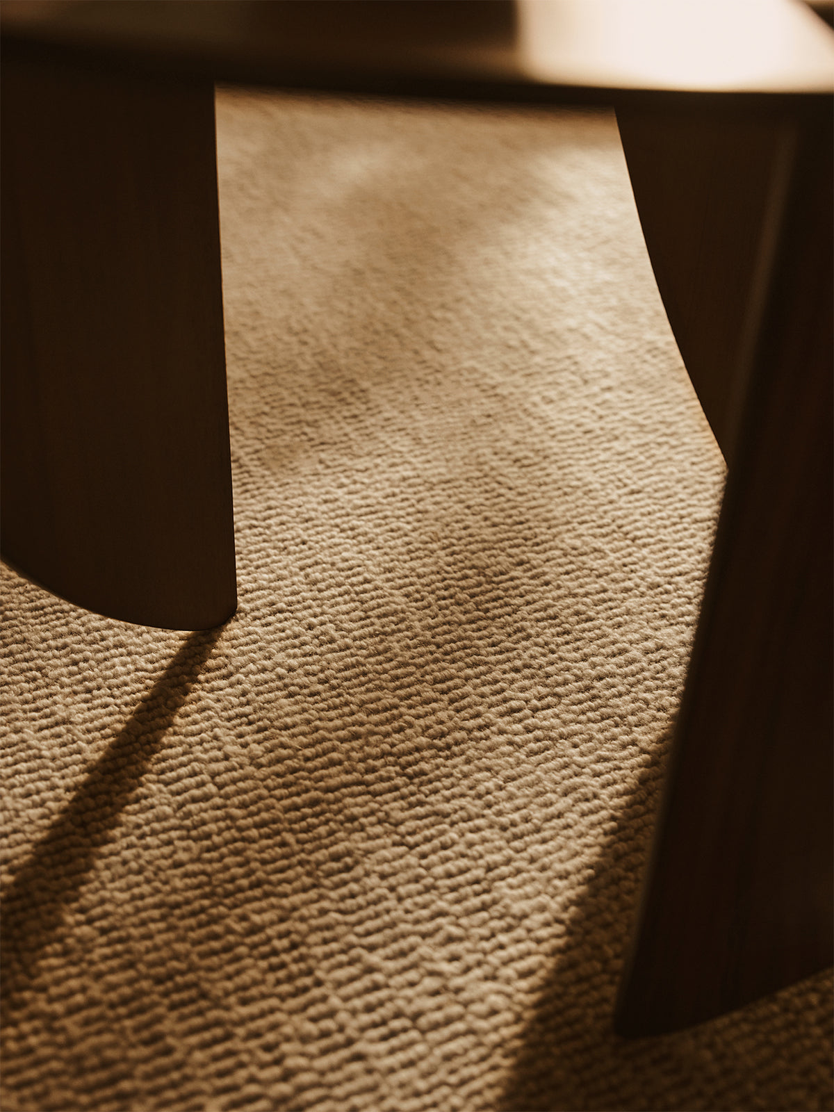 A close-up, low-angle shot of a textured beige carpet illuminated by warm, directional sunlight and deep shadows from furniture legs | Armadillo Abbey Rug